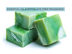 Tannenbaum Soap